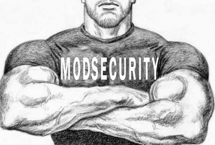 Read more about the article Mod­­­_Security