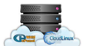 Read more about the article CloudLinux, for those who are concerned about website speed