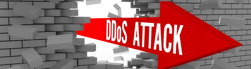 Read more about the article DDoS