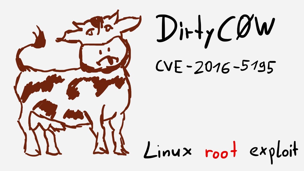 Read more about the article Dirty COW Vulnerability