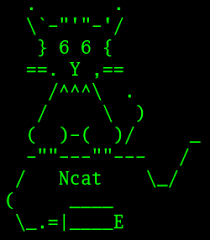 Read more about the article Netcat, a powerful computer networking utility