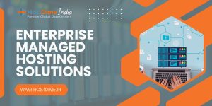 Read more about the article Managed Hosting Services for Enterprises in India